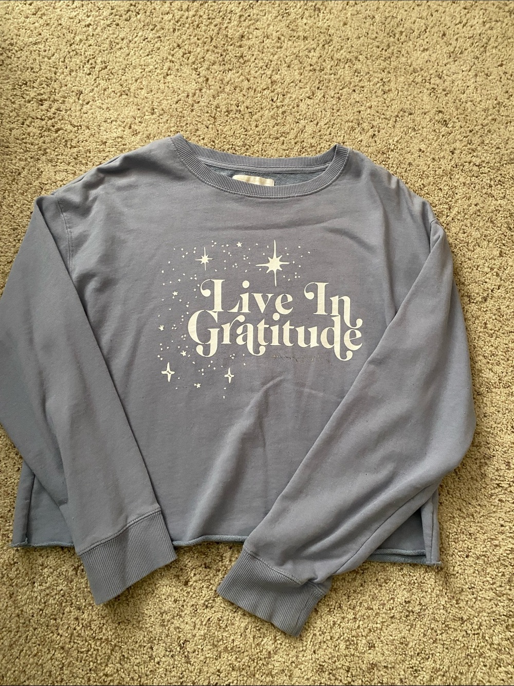 Spiritual Gangster Dusty Blue "Live In Gratitude" Crewneck Sweatshirt
